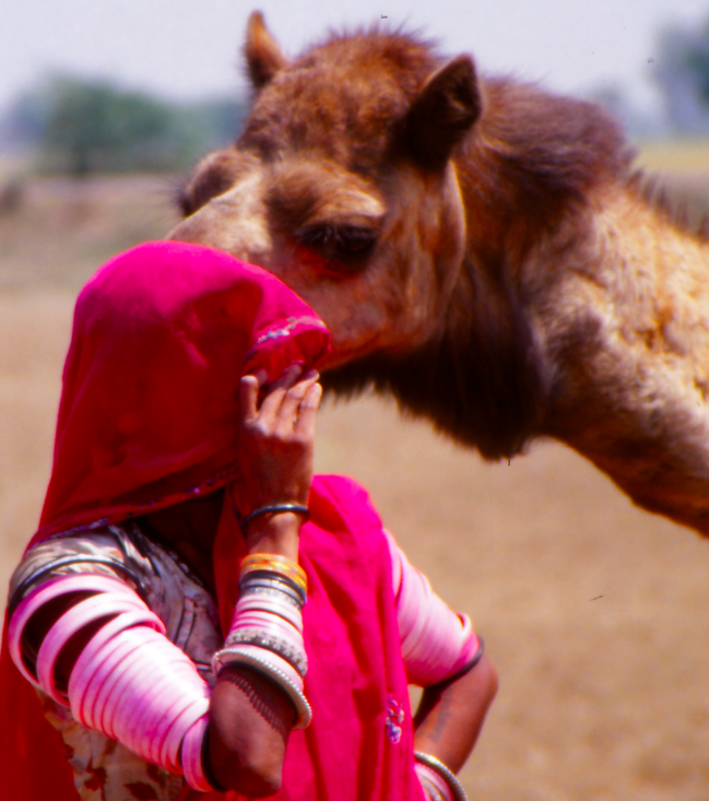Nomads of Rajasthan, India