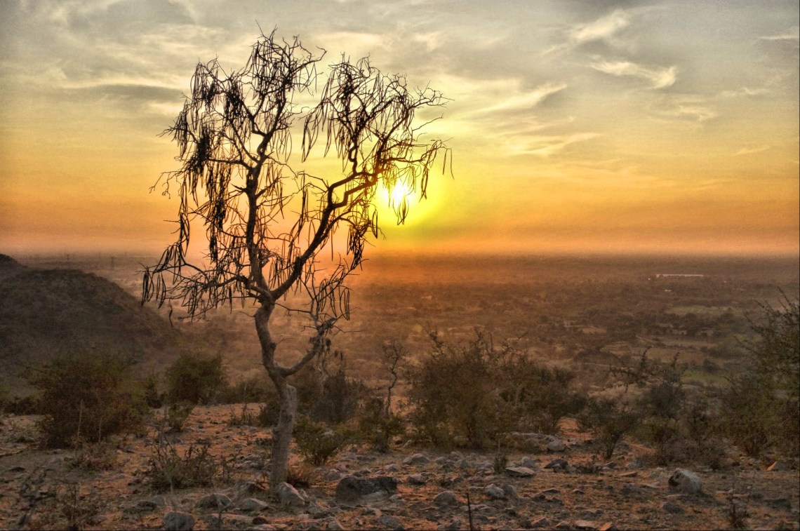 Sunset in the desert