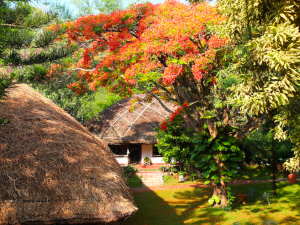 Roofing Spice Village