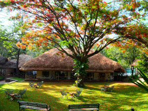 Roofing Spice Village