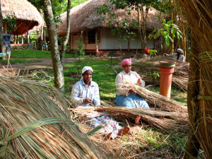 Roofing Spice Village
