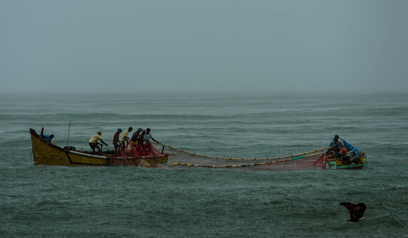 screen-shot-2016-12-11-at-13-00-52